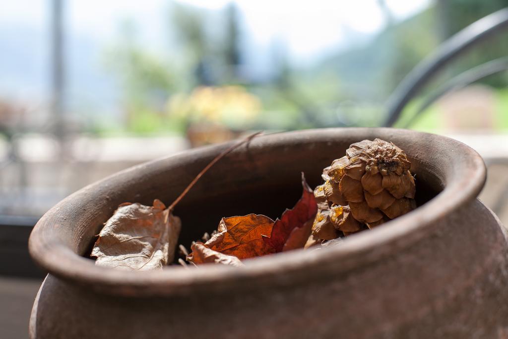 Agriturismo Maso Lizzone 드로네로 외부 사진