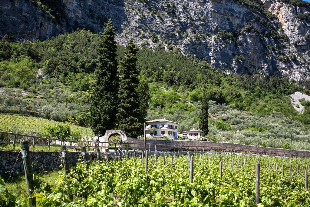 Agriturismo Maso Lizzone 드로네로 외부 사진